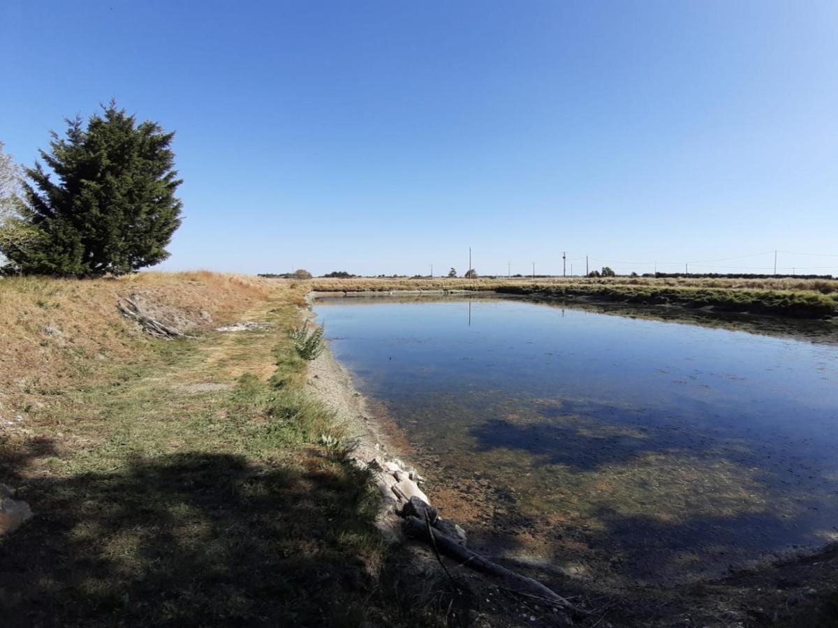 Le Marais Chevalier Bouin (Vendee) Exterior photo